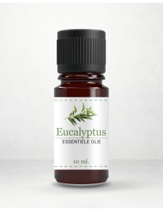 Etherische Olie - Eucalyptus